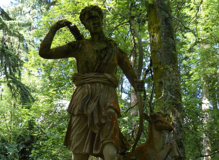 Diana's Grove at Blair Castle