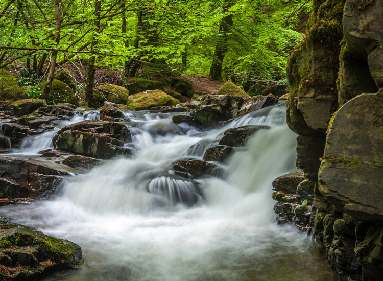 Forestry Commission Scotland - Tay Forest Park