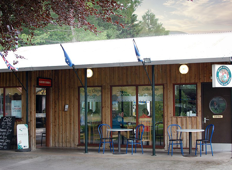 Food in the Park Fish and Chips