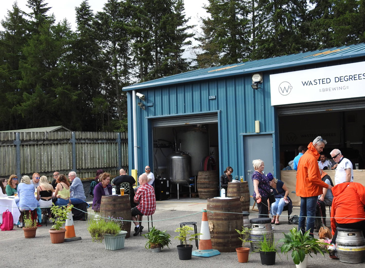 Wasted Degrees Brewing